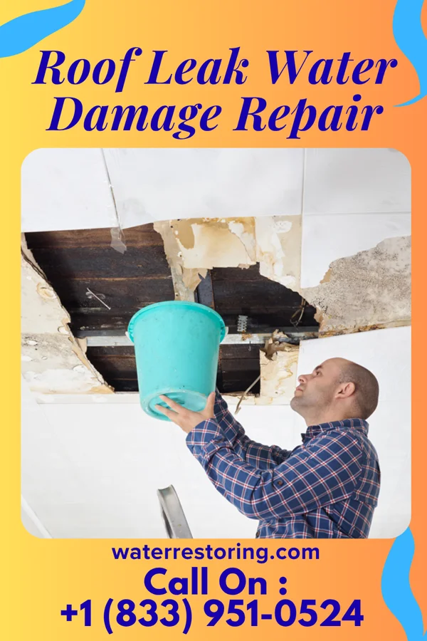 Roof Leak Water Damage Repair in Dalton, MO